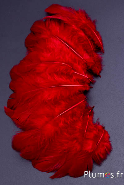 Hen -  5-7 cm - donkerrood